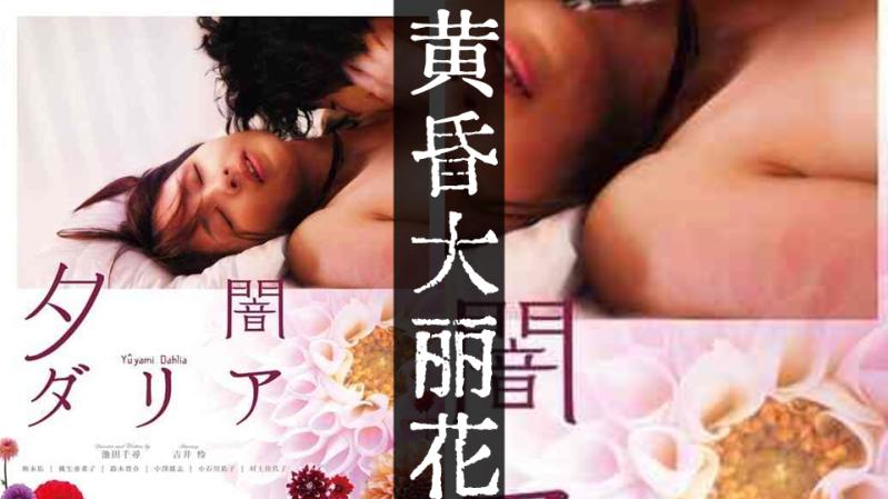 "Dahlia lúc hoàng hôn" 【Nhật Bản】